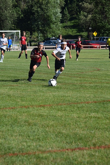 多滑翔伞爱 多滑翔伞爱