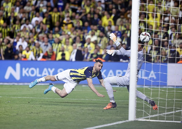 意图诋毁他 意图诋毁他