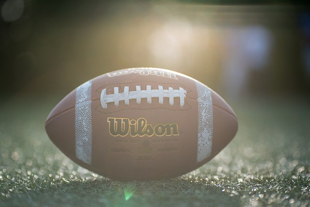 电子记录系 电子记录系