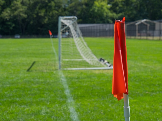 维尼修斯 维尼修斯