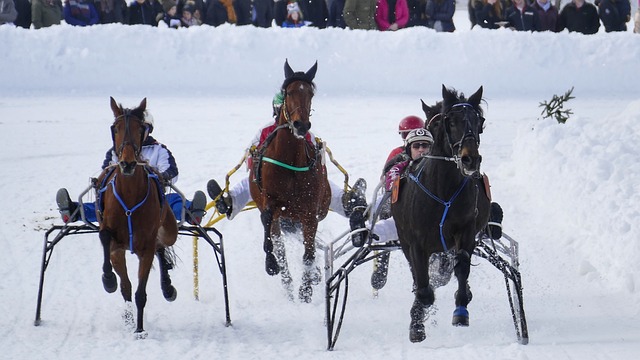 他在每场比 他在每场比