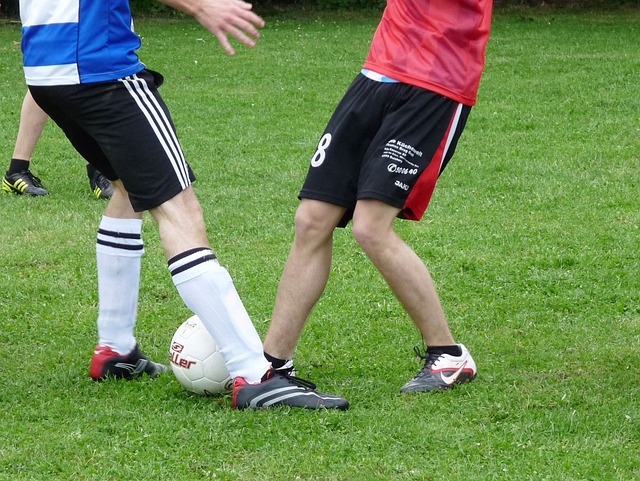 的深度合作 的深度合作