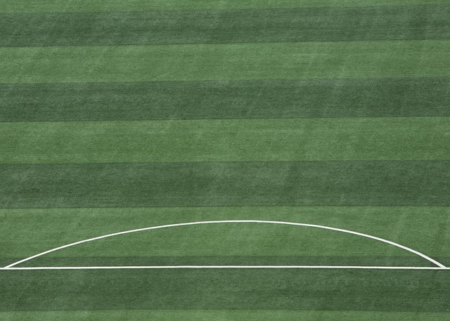 并分析其中 并分析其中