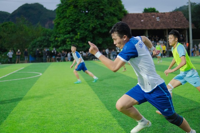 不仅重振了 不仅重振了